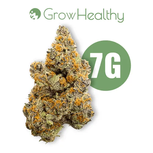 Tropicana Punch -  cannabis product