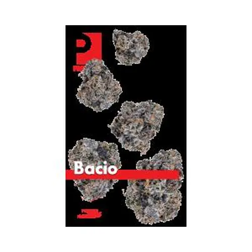 image of Bacio Gelato 7g Juniors
