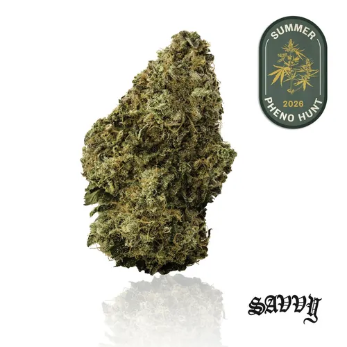 KiwiSrs x JcyFrt by Savvy - 3.500g Whole