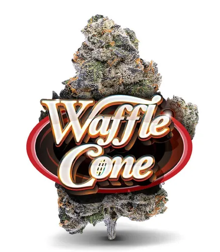  from  product image