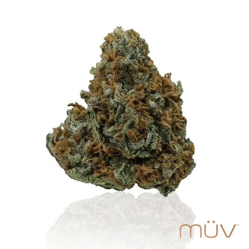 Casey Jones by MÜV - 28.000g Whole