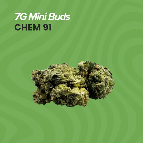 Chem91 Mini Buds - 7g by Sanctuary Medicinals - 7.000g Smalls