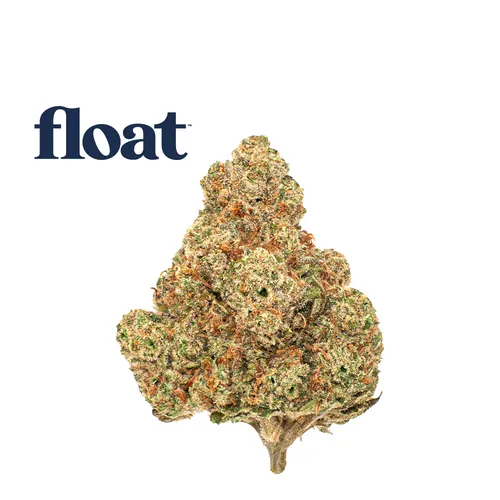 Golden Lemon 4 - Flower - 3.5g from  product image