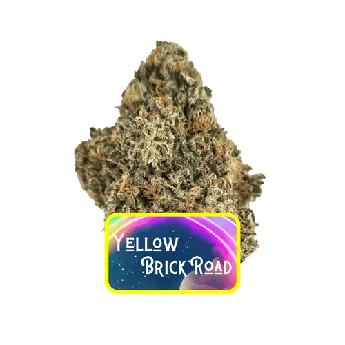 MPX Select Yellow Brick Road Flower by MPX Select Flower - 3.500g Whole
