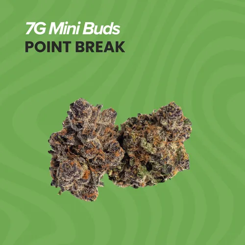Buds Point Break - 