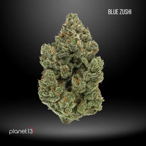 Blue Zushi Tier 2 by Planet 13 - 14.000g Whole