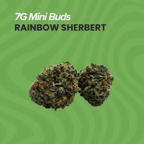 Rainbow Sherbert Mini Buds - 7g by Sanctuary Medicinals - 7.000g Smalls