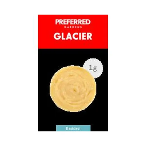 Glacier - 