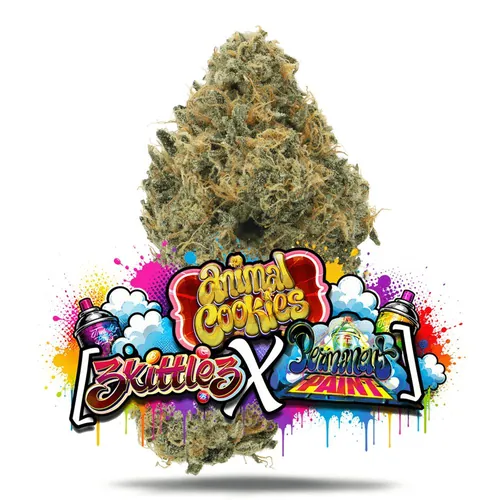 Animal Cookies x (Zkittlez x Permanent Paint) - Premium by Jungle Boys - 3.500g Baked