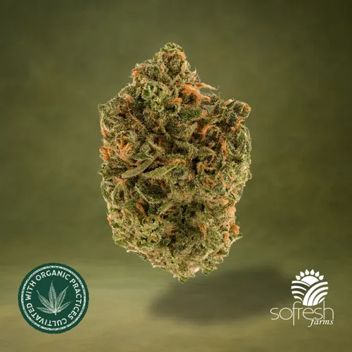 Blue Dream by sofresh farms - 3.500g Whole