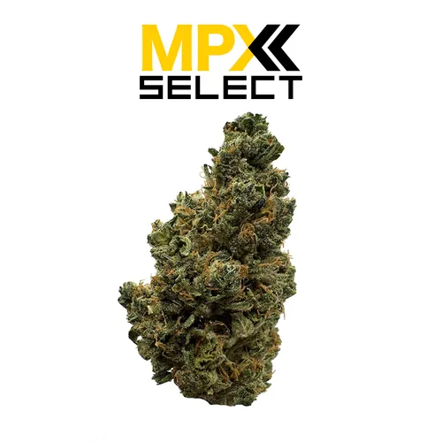MPX Select™ Gassy Pines Flower from  product image