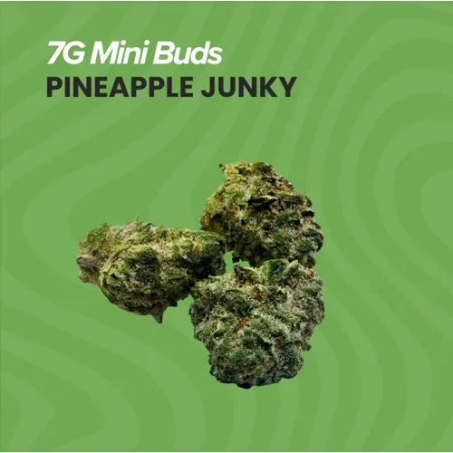 7g Mini Buds Pinaple Junky by Sanctuary Medicinals - 7.000g Smalls