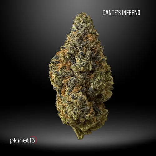 Leaf Vine Dante's Inferno 8 1 8th -  cannabis product
