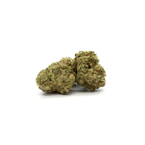 Stardawg x Northern Lights - 