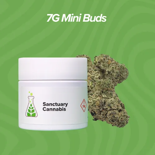 Hash Burger Mini Buds - 7g from  product image
