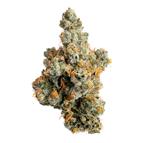 New Yorker Flower from  product image