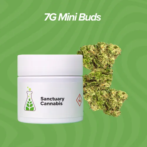 Wedding Mints Mini Buds - 7g by Sanctuary Medicinals - 7.000g Unknown