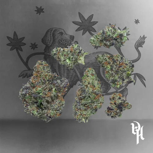 Nana Glue -  cannabis product