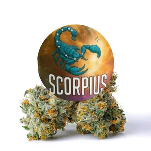 Scorpius from  product image