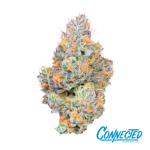 Tropical Z - 