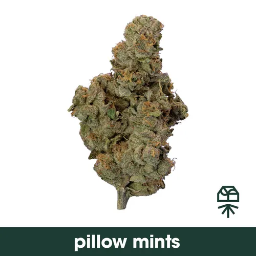  from  product image