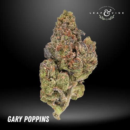 Leaf Vine Gary Poppins -  cannabis product