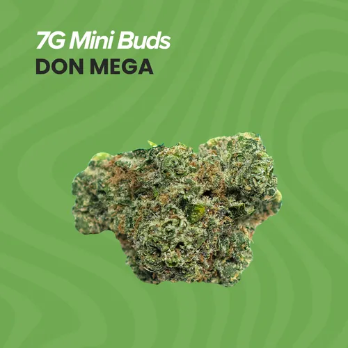 Mini Buds  Don Mega - 