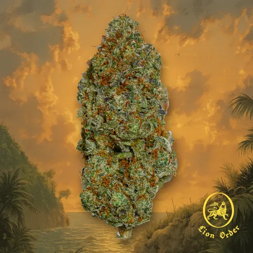 King Clementine x Reaper (85) by Lion Order - 3.500g Whole