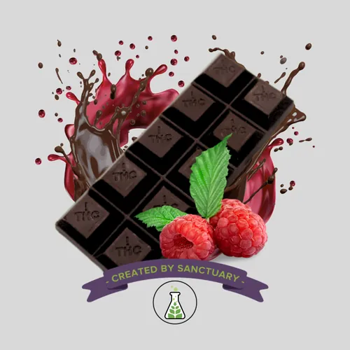 Quickies Raspberry Dark Chocolate Bar  100mg - 