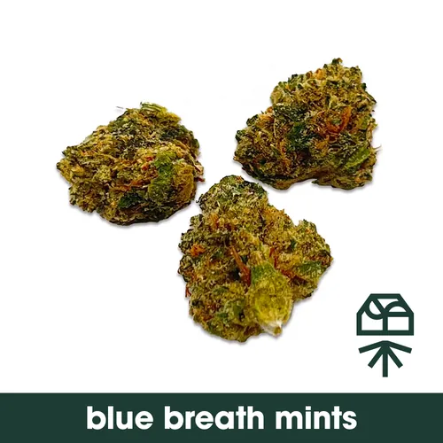 Blue Breath Mints by Grassroots - 3.500g Smalls