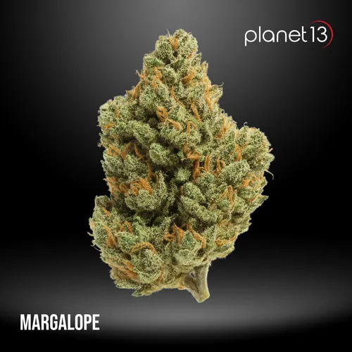 Margalope 3.5g Jar Tier 1 from  product image