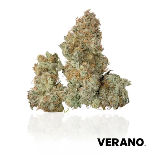 GMO S1 - 
