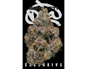 Biscotti Eighth - 