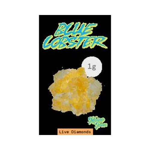 Blue Lobster - 