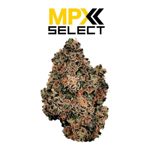 {'strain': 'Burger', 'strain_type': 'Hybrid', 'company': 'GrowHealthy', 'brand': 'MPX Select Flower', 'price': Decimal('35.00'), 'regular_price': Decimal('50.00'), 'thc': Decimal('26.90'), 'cbd': Decimal('0.00'), 'terps': Decimal('0.00'), 'grams': Decimal('3.500'), 'dollars_per_thcg': Decimal('37.170'), 'dollars_per_g': Decimal('10.000'), 'product_format': 'Concentrate', 'product_sub_format': 'Hash', 'dispensary_cities': ['North Port'], 'main_url': 'https://growhealthy.com/product/mpx-select-hash-burger-flower/?retailer_id=4ab0a054-243f-4af3-8ba8-a54e181cc360', 'display_image_url': 'https://thchunter-images.s3.us-east-2.amazonaws.com/product_images/32410288-515d-4158-8166-4f5c1a18d03f.webp', 'id': 13511107, 'company_logo_file': 'Grow-Healthy.jpg', 'company__premium_company': True, 'company__name': 'GrowHealthy'}