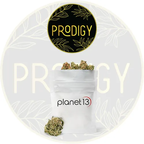  Prodigy  -  cannabis product