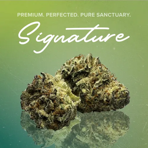 Miracle Alien Cookies Signature - 3.5g by Sanctuary Signature - 3.500g Unknown