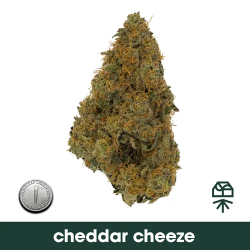 Cheddar Cheeze from  product image