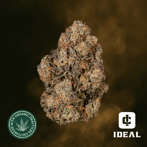 Blue Super Lemons by Ideal Cannabis - 3.500g Whole
