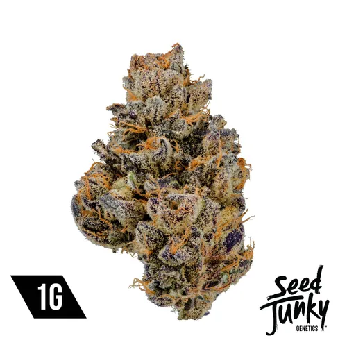 Tropical Burst Flower by Seed Junky - 1.000g Whole