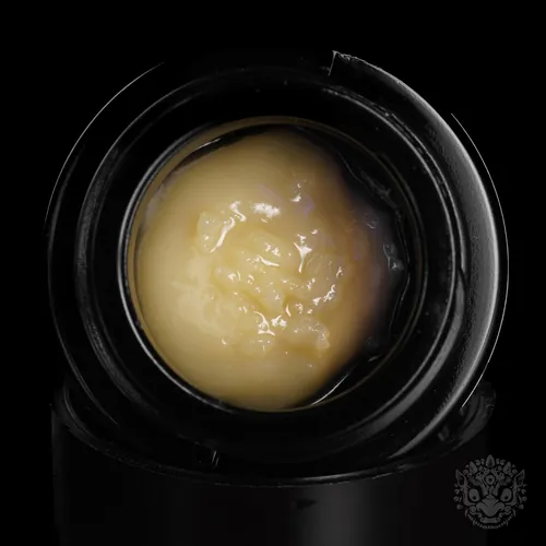 Papaya Cake Cold Cure Live Rosin - 