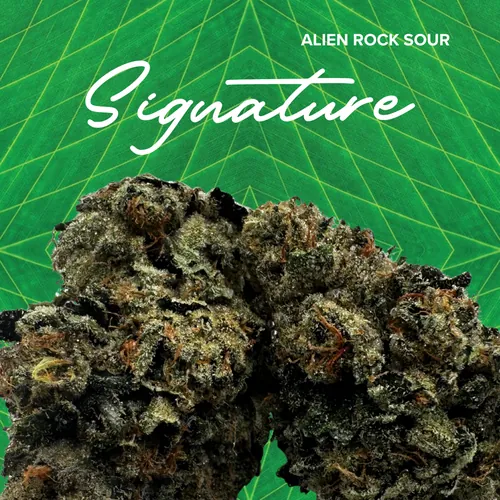 Alien Rock Sour | 3.5g Signature by Sanctuary Cannabis - 3.500g Whole