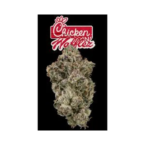 Chicken N Wafflez Eighth -  cannabis product
