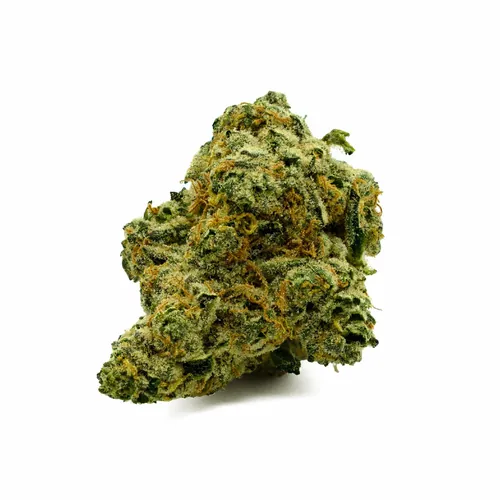 College Park Diamond Infused Flower from  product image