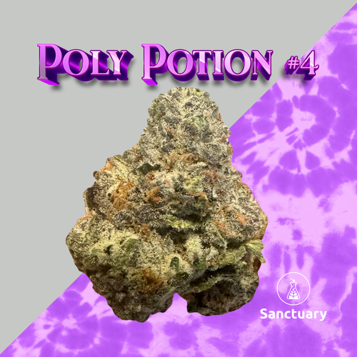Poly Potion #4 - 