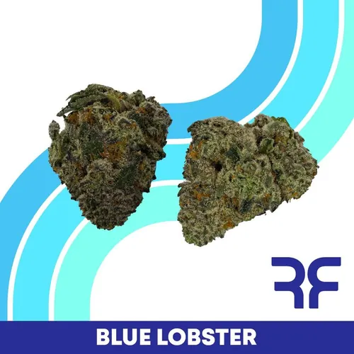 Blue Lobster -  cannabis product