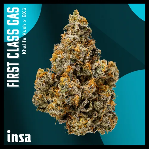Large Pack Flower - Pave from  product image