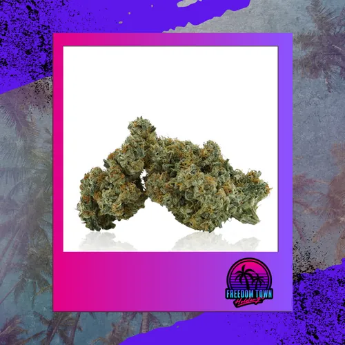 SFV OG x Sherb BX1 from  product image