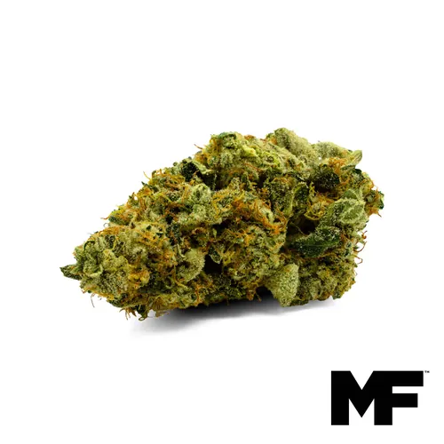 Pot O Gold Flower from  product image