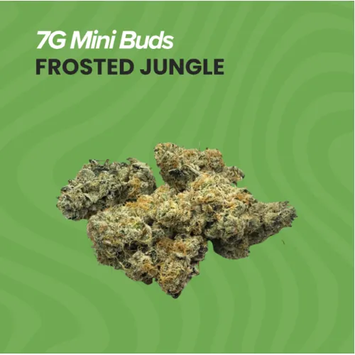 Mini Buds | Frosted Jungle | 7g